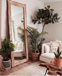 plantas para o inverno
